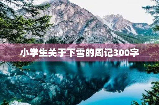 小学生关于下雪的周记300字