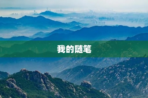 我的随笔