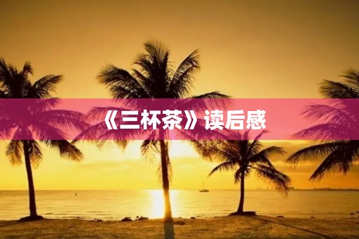 《三杯茶》读后感