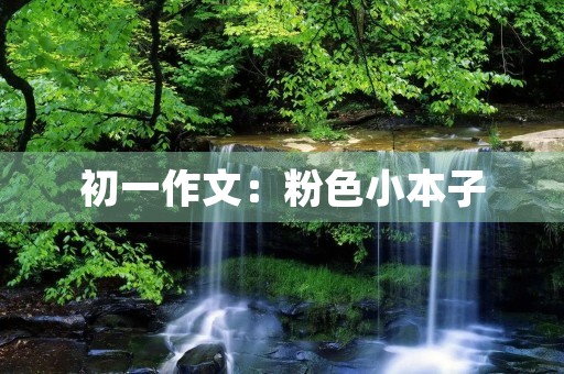 初一作文:粉色小本子 初一作文:粉色小本子