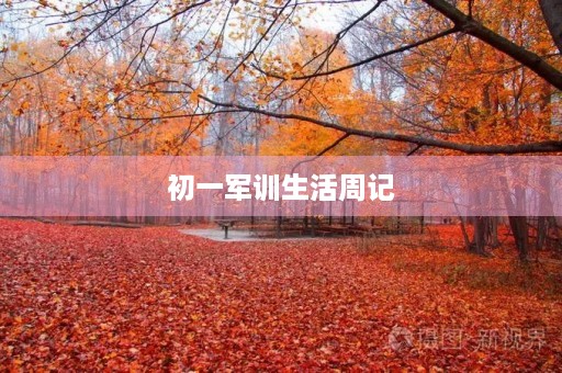 初一军训生活周记