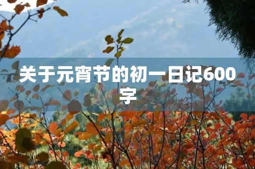 关于元宵节的初一日记600字