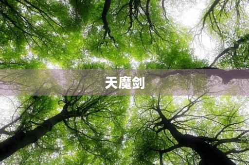 天魔剑