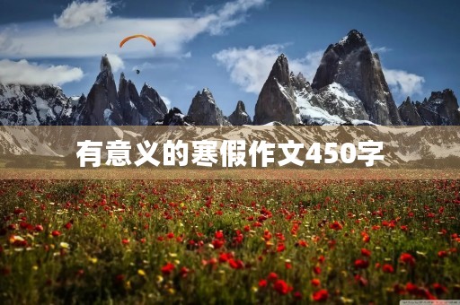 有意义的寒假作文450字