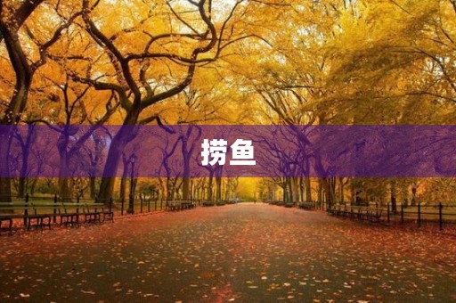 捞鱼 捞鱼
