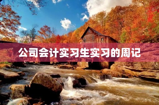 公司会计实习生实习的周记