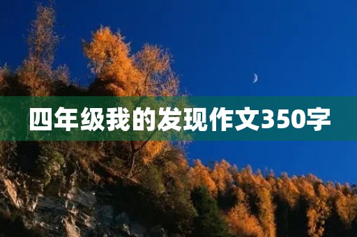 四年级我的发现作文350字 四年级我的发现作文350字
