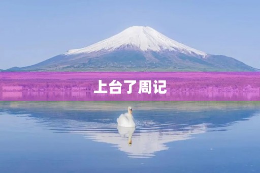 上台了周记