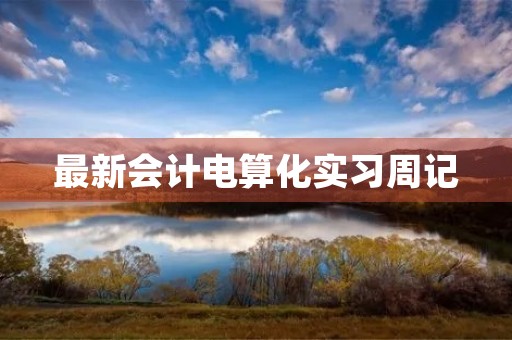 最新会计电算化实习周记