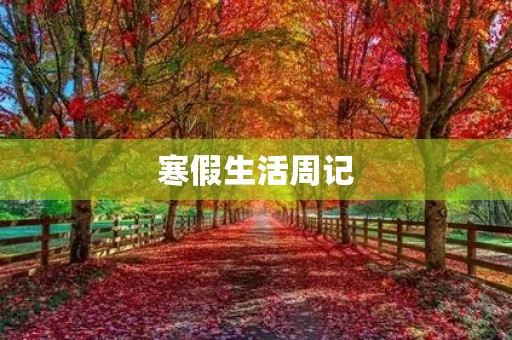 寒假生活周记