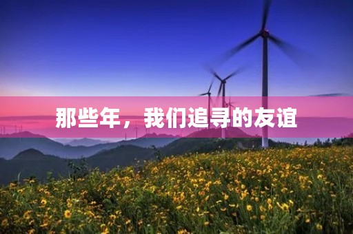那些年,我们追寻的友谊 那些年,我们追寻的友谊