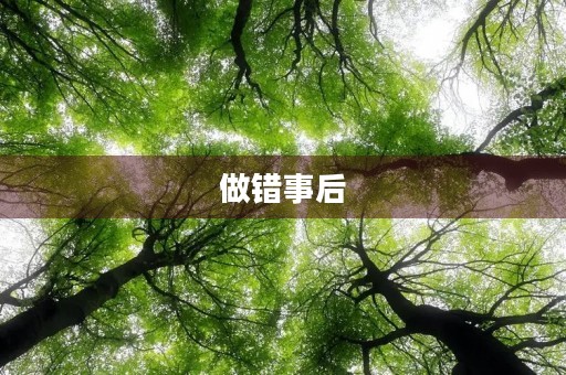 做错事后 做错事后