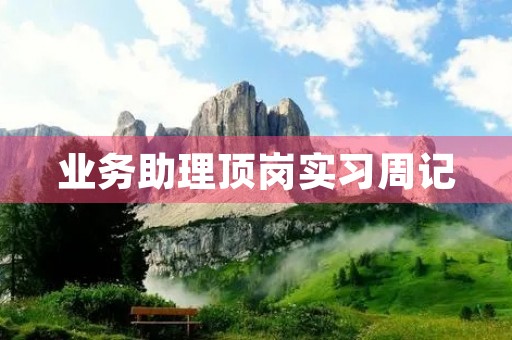 业务助理顶岗实习周记