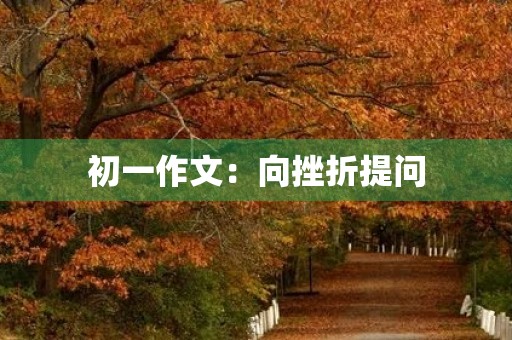 初一作文:向挫折提问 初一作文:向挫折提问