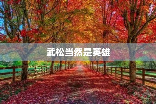 武松当然是英雄