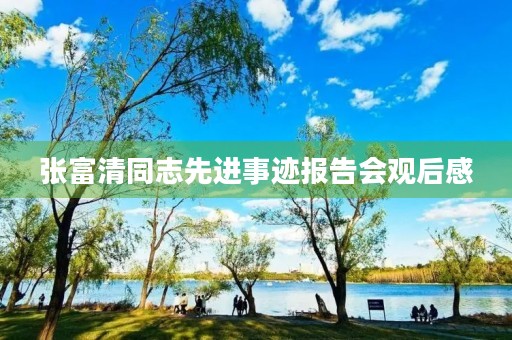 张富清同志先进事迹报告会观后感