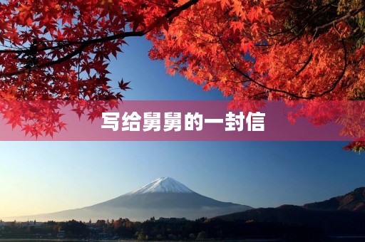 写给舅舅的一封信 写给舅舅的一封信