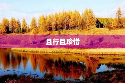且行且珍惜 且行且珍惜