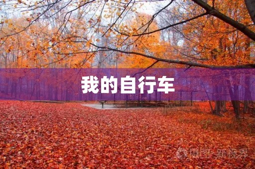 我的自行车 我的自行车