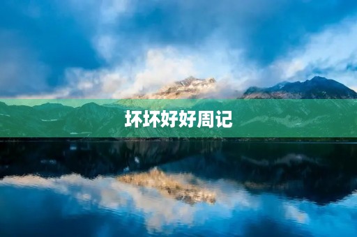 坏坏好好周记