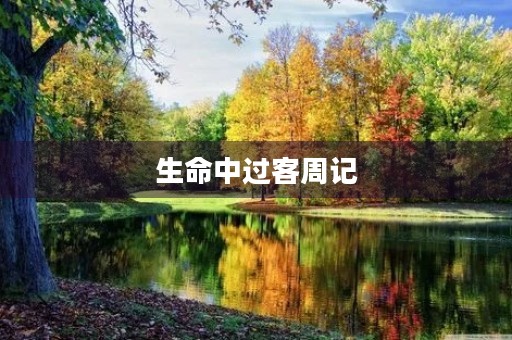 生命中过客周记