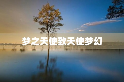 梦之天使致天使梦幻 梦之天使致天使梦幻