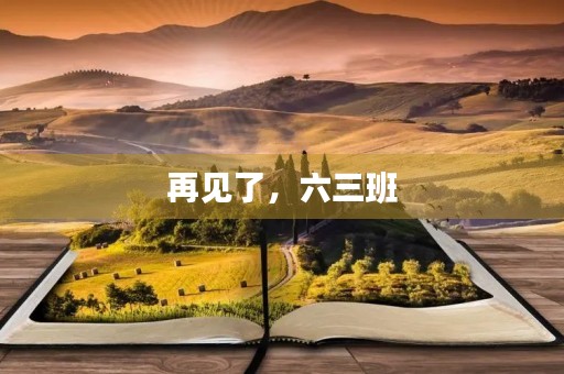 再见了,六三班 再见了,六三班