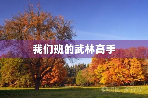 我们班的武林高手 我们班的武林高手