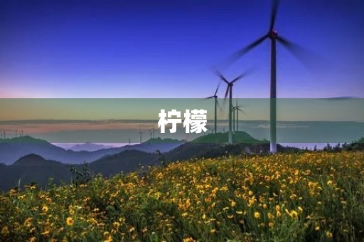 柠檬