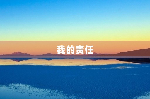 我的责任 我的责任