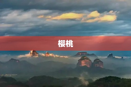 樱桃 樱桃