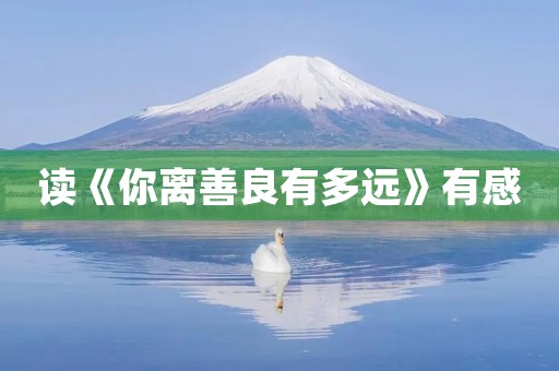 读《你离善良有多远》有感