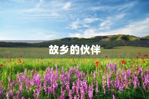 故乡的伙伴 故乡的伙伴