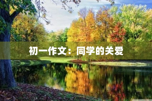 初一作文:同学的关爱 初一作文:同学的关爱
