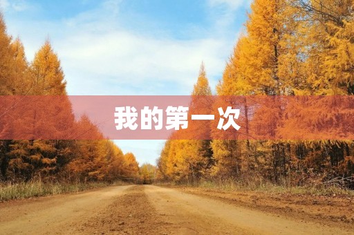 我的第一次