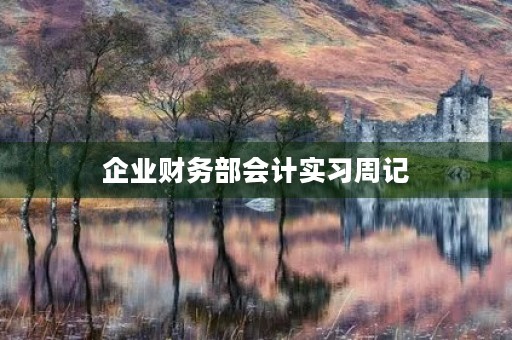 企业财务部会计实习周记
