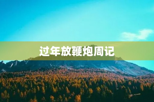 过年放鞭炮周记