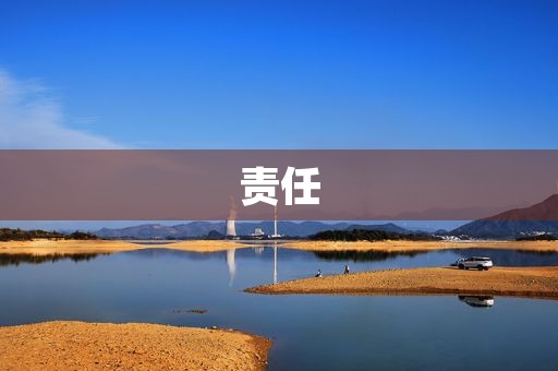 责任 责任