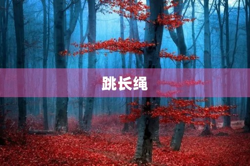 跳长绳 跳长绳