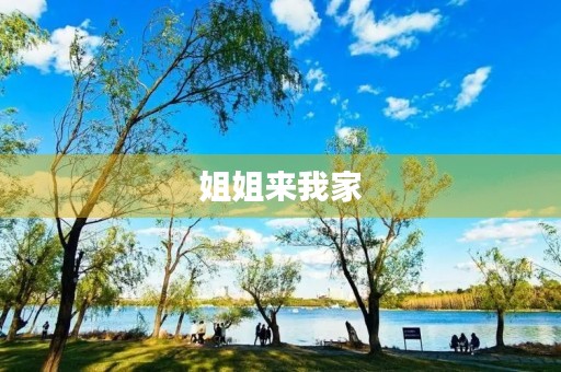 姐姐来我家 姐姐来我家