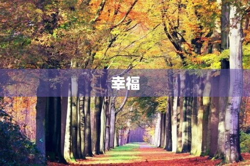 幸福 幸福