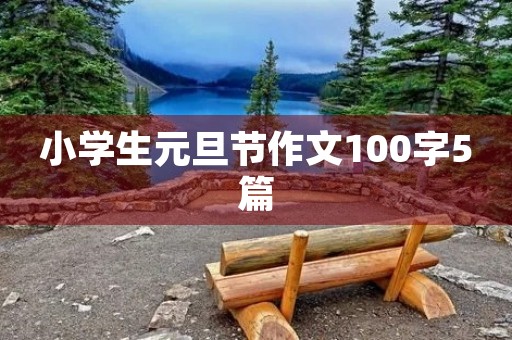 小学生元旦节作文100字5篇