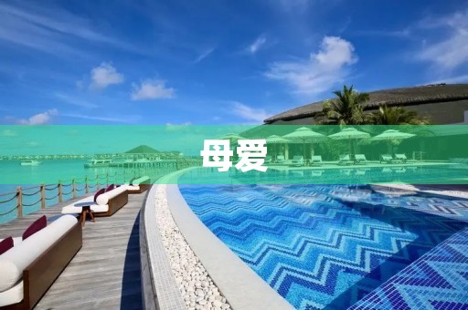 母爱 母爱