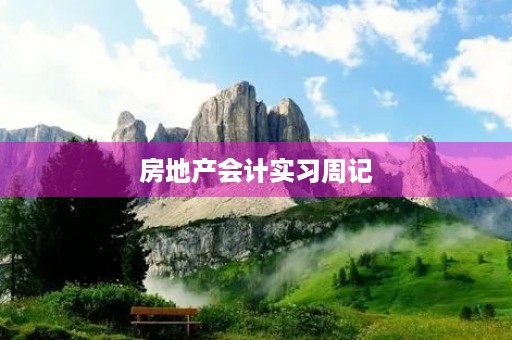 房地产会计实习周记