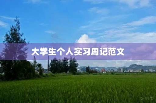 大学生个人实习周记范文