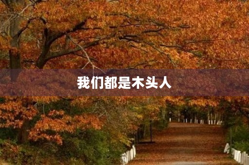 我们都是木头人