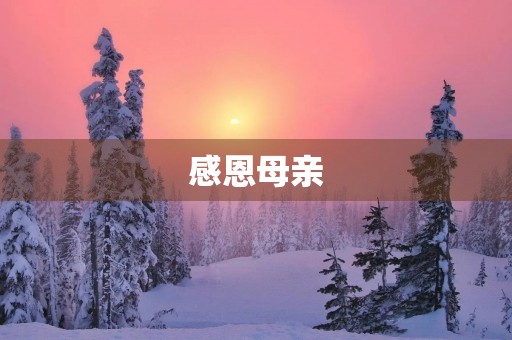 感恩母亲 感恩母亲