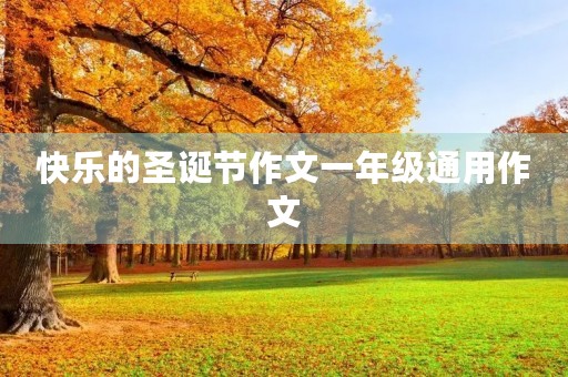 快乐的圣诞节作文一年级通用作文