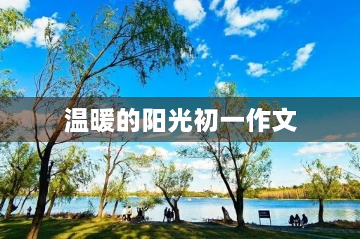 温暖的阳光初一作文