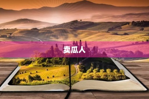 卖瓜人 卖瓜人